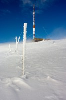 /album/fotografie/foto-8-jpg/